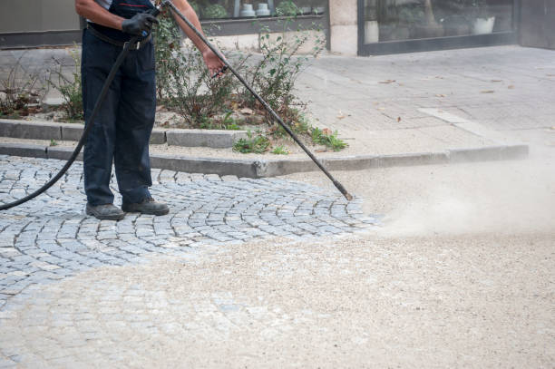 Best Dumpster Area Cleaning  in Garrett, IN