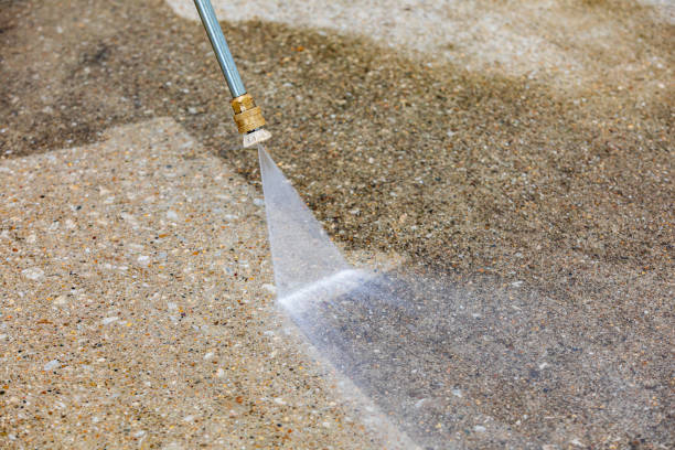 Best Gutter Cleaning  in Garrett, IN