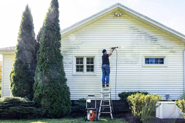 Best Roof Washing  in Garrett, IN